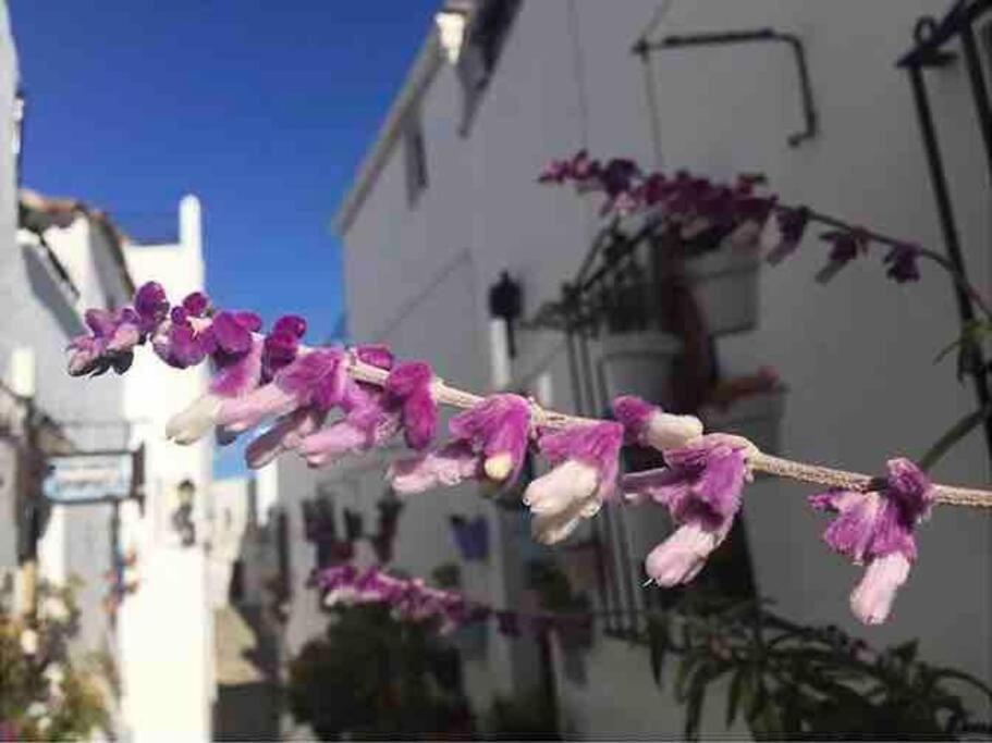 Casa Arena Y Sal En Pleno Casco Antiguo De Vejer Villa Vejer de la Frontera Exterior foto